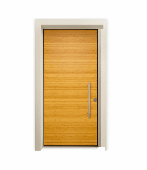 Security Entry Door Orinoco