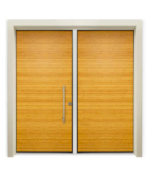 Security Entry Door Orinoco